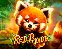 Red Panda